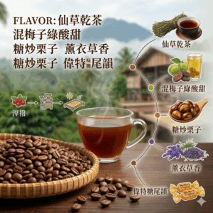 中焙 印尼 蘇門答臘 黃金曼特寧 溼撥 120克 FLAVOR:仙草乾茶 混梅子綠酸甜 糖炒栗子 薰衣草香 偉特糖尾韻
