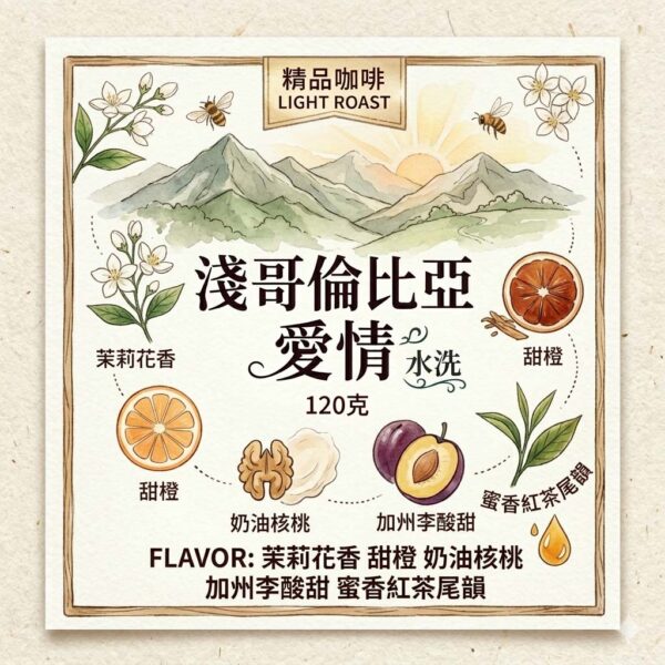 淺 哥倫比亞 愛情 水洗 120克 FLAVOR:茉莉花香 甜橙 奶油核桃 加州李酸甜 蜜香紅茶尾韻