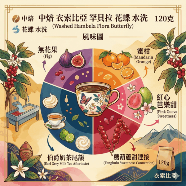 中焙 衣索比亞 罕貝拉 花蝶 水洗 120克 FLAVOR: 無花果 蜜柑 紅心芭樂甜 糖葫蘆甜連接 伯爵奶茶尾韻