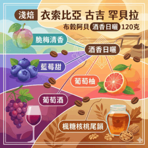 淺焙 衣索比亞 古吉 罕貝拉 布穀阿貝 酒香日曬 120克 FLAVOR: 脆梅清香 藍莓甜 葡萄柚 葡萄酒 楓糖核桃尾韻
