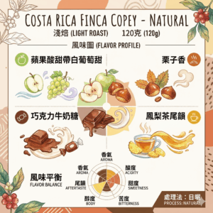 淺焙 哥斯大黎加 科佩莊園 日曬 120克 Flavor:蘋果酸甜帶白葡萄甜 栗子香 巧克力牛奶糖 鳳梨茶尾韻