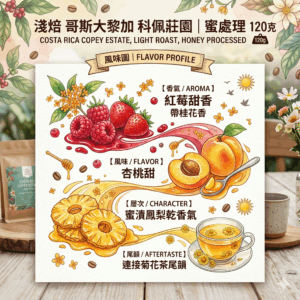 淺焙 哥斯大黎加 科佩莊園 蜜處理 120克 Flavor:紅莓甜香帶桂花香 杏桃甜 蜜漬鳳梨乾香氣連接菊花茶尾韻