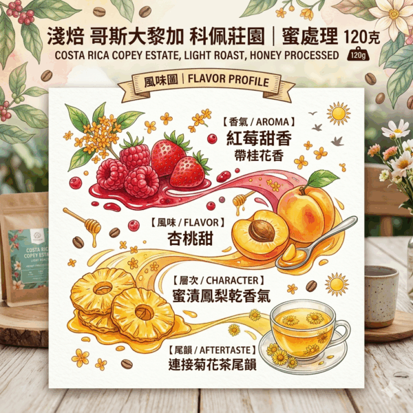 淺焙 哥斯大黎加 科佩莊園 蜜處理 120克 Flavor:紅莓甜香帶桂花香 杏桃甜 蜜漬鳳梨乾香氣連接菊花茶尾韻