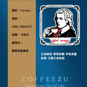 淺焙 哥斯大黎加 莫札特 葡萄乾蜜處理 120克 Flavor:白胡椒香 葡萄軟糖 草莓果醬香氣 甜橙 玉蘭花尾韻